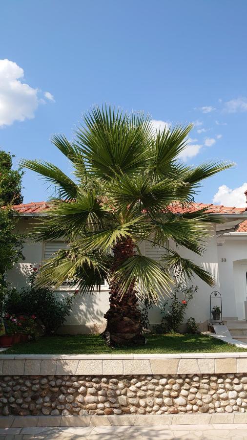 מוסטר Apartments Tulipan - With Free Private Parking Garage מראה חיצוני תמונה