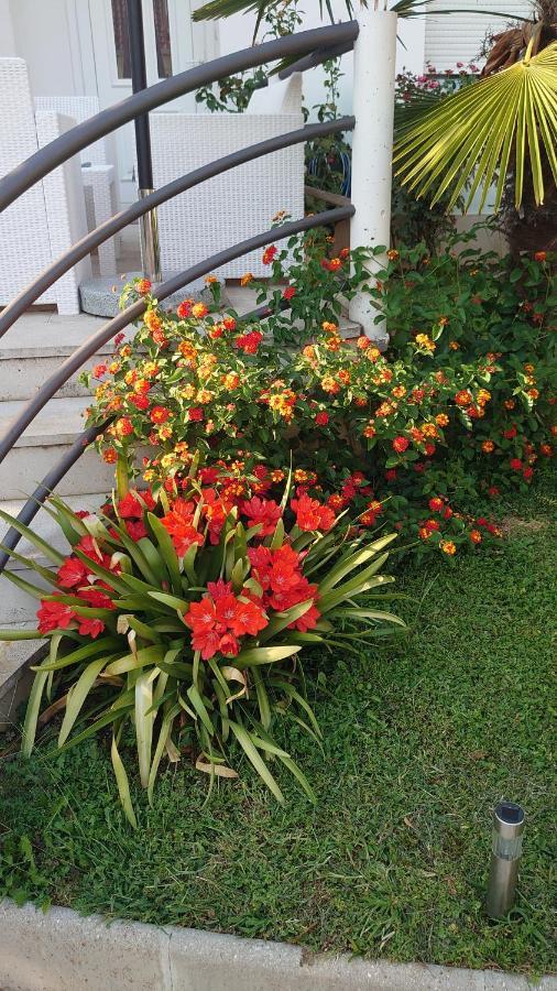 מוסטר Apartments Tulipan - With Free Private Parking Garage מראה חיצוני תמונה