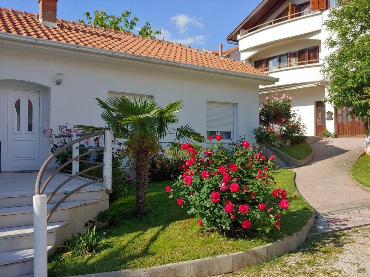 מוסטר Apartments Tulipan - With Free Private Parking Garage מראה חיצוני תמונה
