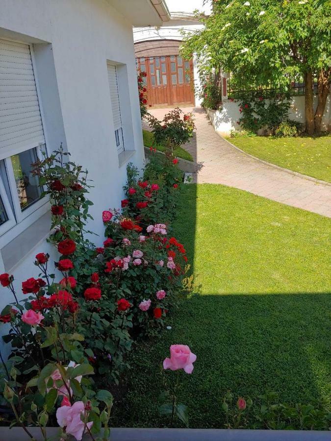 מוסטר Apartments Tulipan - With Free Private Parking Garage מראה חיצוני תמונה